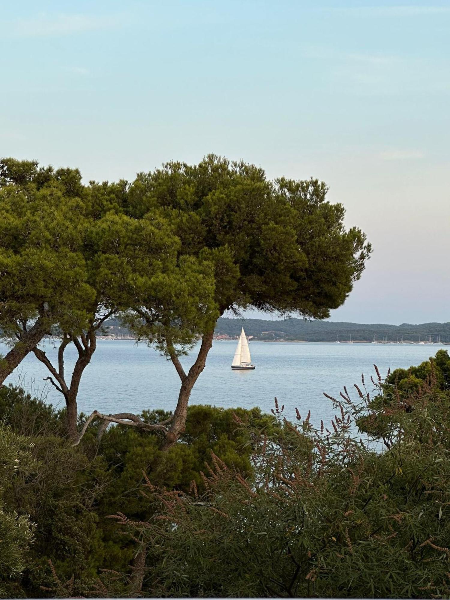 L'Instant Plage - Vue Mer - Bord De Plage - La Capte - Cote D'Azur Hyères Екстериор снимка